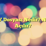 CSV Dosyası Nedir? Nasıl Açılır?