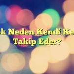 TikTok Neden Kendi Kendine Takip Eder?